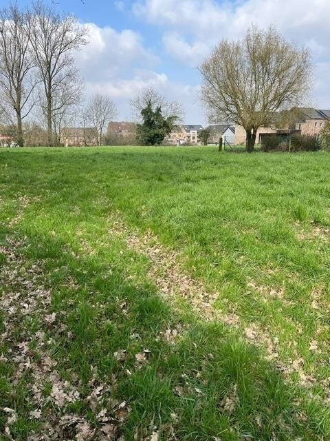 Terrain à vendre à Perwez 1360 225000.00€ 0 chambres m² - Annonce 285698