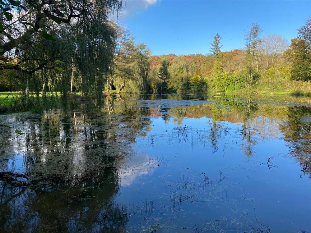 Terrain à vendre à Lasne 1380 2900000.00€  chambres 0.00m² - Annonce 299409